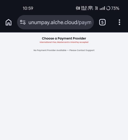 Screenshot of the broken card payment page